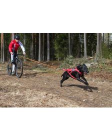 Kainpo veoliini hoidja Ultra Swing jalgrattale, tõukerattale