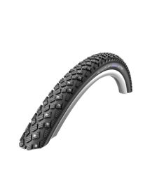 schwalbe-winter-35-622-2