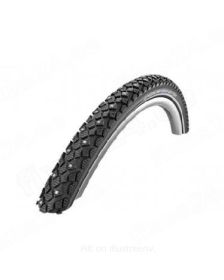 schwalbe-winter-47-559