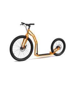 Arni-12614-Y40-orange-threequarters-full