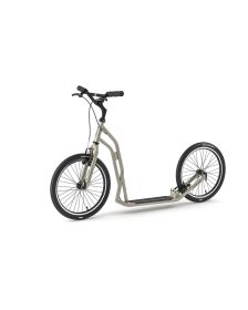 S2020-12403-silvergold-threequarters-medium